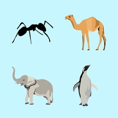 icons about Animal with silhouette, ant, penguin, walking and sahara