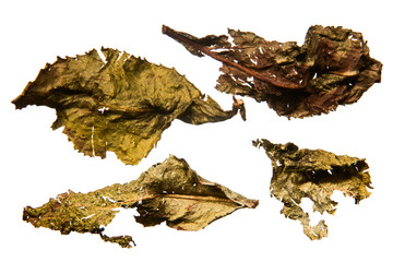 Dry leaves of milk oolong tea macro is isolated on white background