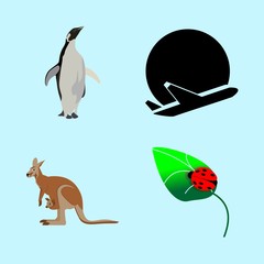 icons about Animal with abstract, black, pocket, native and transportation