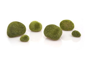 Mossy stones isolated on white background for design in ecological style