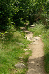 Woodland path in the Valle Versasca, Ticino