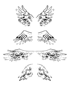 Sketchy style hand drawn wings. Vector illustration. Comics stly