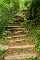 Steps in Ticino.part of the Valle Versasca hiking route