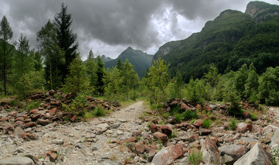 Fototapeta na wymiar Valle Versasca; rural scene on a valley floor in Italian Switzerland