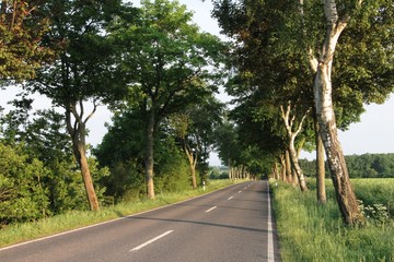 Obraz premium Straße Fuldatal