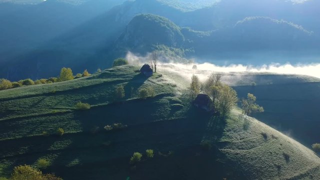 Sunrise aerial view of the foggy forest, in Apuseni Mountains
