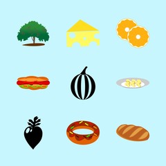 icons about Food with milk, holland, vegetable, summer and juice