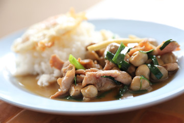 Stir Fried Oyster Sauce with pork and rice with Fried Egg on top , Thai food