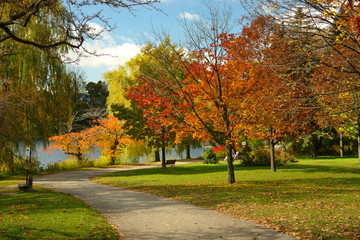 Naklejka premium Scenic Fall