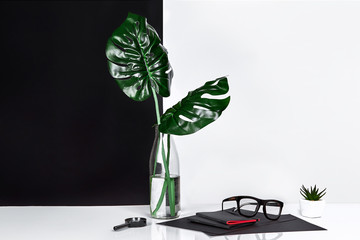 Bottle with tree leaves and glasses on table with black and white wall on background