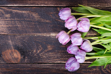 Violet tulips on a wooden background. Free space for your text.