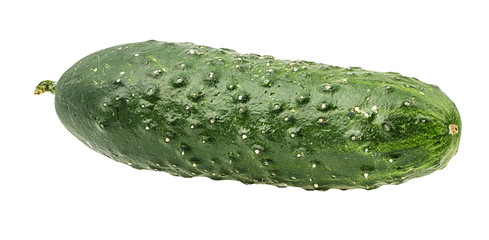 Fresh cucumber isolated on white background with clipping path