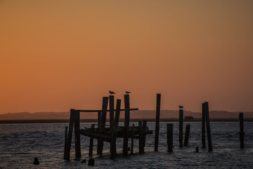 Sunset in the marina