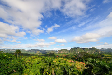 Fototapeta na wymiar View over landscape with mogotes in Vinales Valley, Cuba, Pinar del Rio province