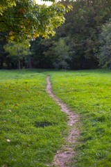 Pathway in a grass field