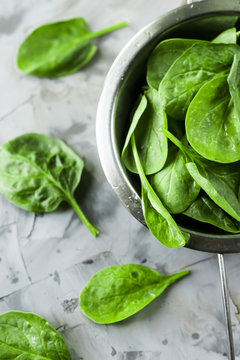 Washed spinach in a metal colander on a gray background. Fresh green leaves for cooking healthy dishes