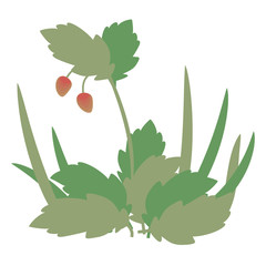 bush composition with red sweet strawberry and blond green leaves and grass vector