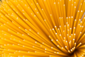 raw spaghetti closeup