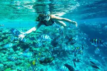 Girl in snorkeling gear dives into the sea - obrazy, fototapety, plakaty