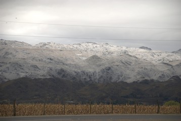 Cultivos con picos montañosos nevados