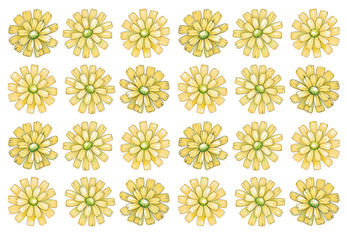 Yellow hand drawn chrysanthemum for decoration, wallpaper or background