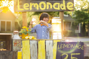 Lemonade Stand