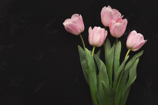 Fototapeta Bouqet of pink tulips on black background, top view