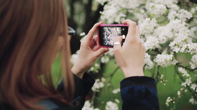 Casual woman with a phone in a blooming spring garden. Back view.