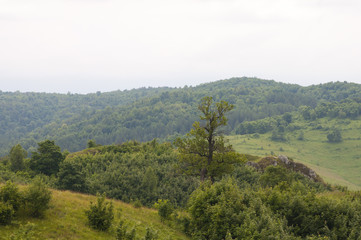 Fototapeta premium picture village mountains