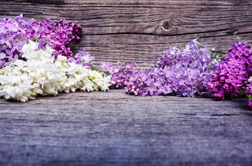 White and purple lilac on wood