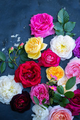 Collection of beautiful roses