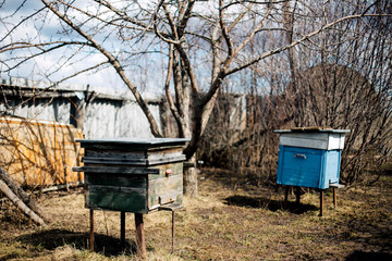 Bee hives. Bee apiary. Old wooden beehive with bees