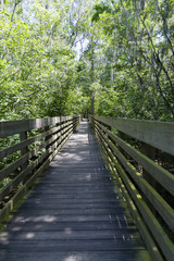 Fototapeta na wymiar Walking bridge 