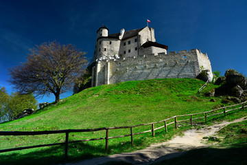 Fototapeta na wymiar Medieval castle Bobolice. Poland