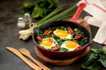 Healthy green shakshuka with spinach, green onion, cilantro, parsley, chilipertsem and olive oil. Healthy food.