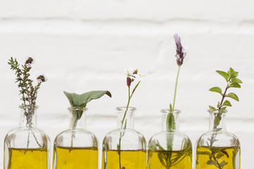 Bottle of essential oil with herbs set up on white background