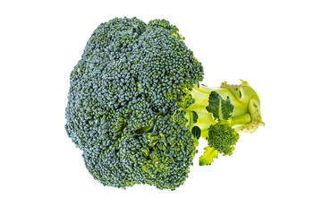 Raw fresh organic broccoli