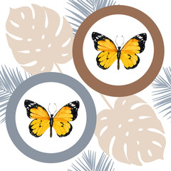 Watercolor butterfly seamless pattern on white background