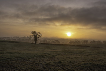 Fototapeta na wymiar Sunrise over Staffordshire fields in winter.