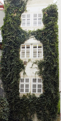 Fototapeta na wymiar Vienna, Austria - 15 April 2018: Beautiful windows of a multi-storey building.