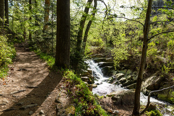 Wandern neben den Wasserfällen