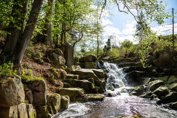 Fototapeta premium Obere Ilsefälle im Harz