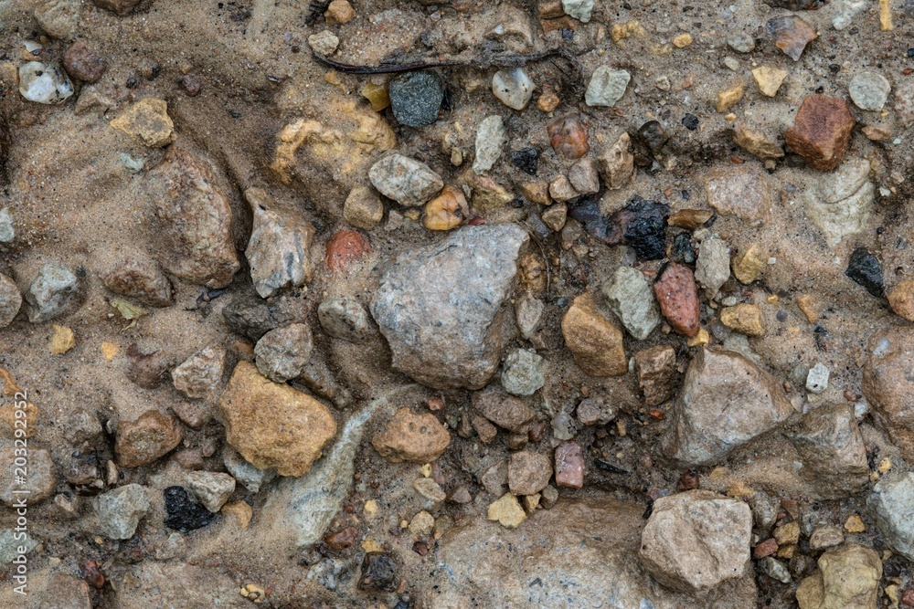 Wall mural Sand, stone and mud texture after rain. The macro shot is made by means of stacking technology