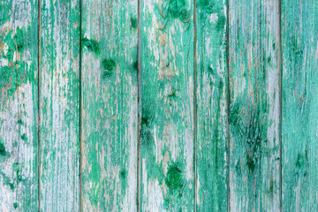 Fototapeta na wymiar Amazingly beautiful old texture of a green wooden wall with cracked paint