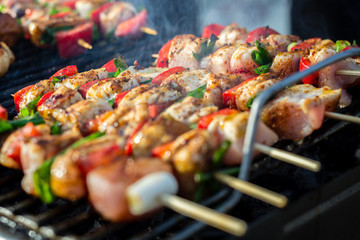 Close up pf delicious chicken breast on wooden skew with fresh vegetables, garlic, paprika fried on mangal barbeque grill