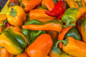 Fototapeta premium chiles farmers market santa fe nm