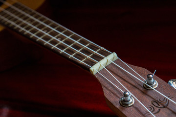 Close up ukulele old
