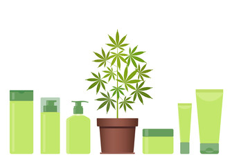 Marijuana or cannabis plant in pot with hemp cosmetic products. Cream, shampoo, soap, gel, lotion, balm. Natural ecological cosmetics. Medical cannabis. CBD oil hemp products. Bottle mock up. Vector.