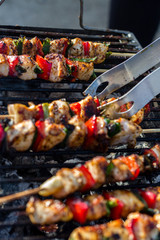 Close up pf delicious chicken breast on wooden skew with fresh vegetables, garlic, paprika fried on mangal barbeque grill