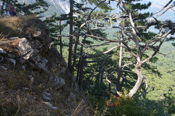 Crimea, View from the Silver pergola